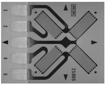 應(yīng)變計(jì)結(jié)構(gòu) 應(yīng)變計(jì)結(jié)構(gòu)